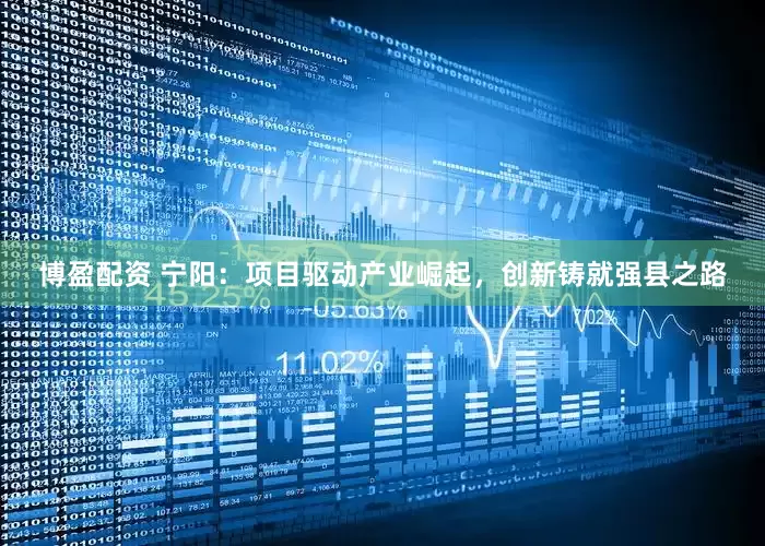 博盈配资 宁阳：项目驱动产业崛起，创新铸就强县之路