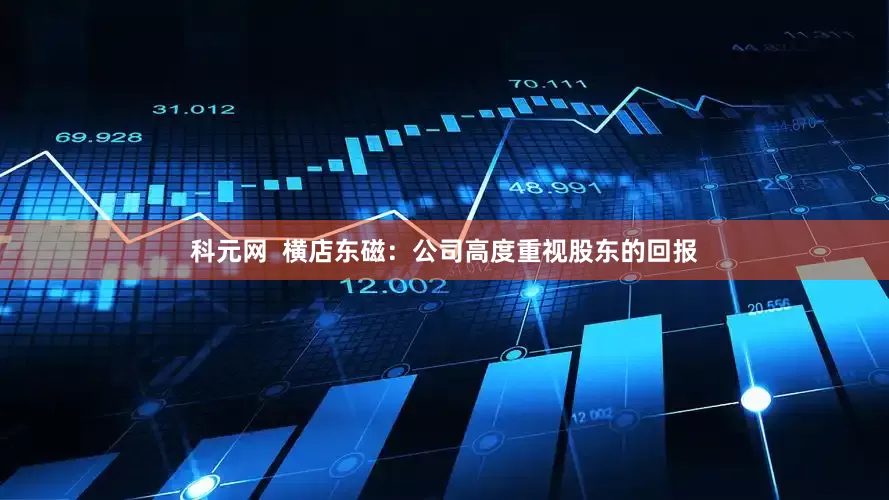 科元网  横店东磁：公司高度重视股东的回报