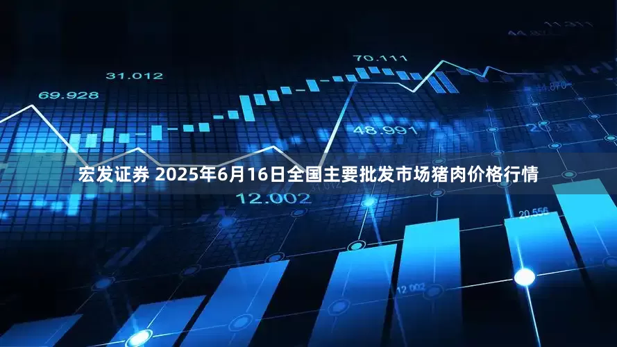宏发证券 2025年6月16日全国主要批发市场猪肉价格行情
