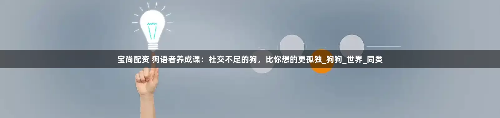 宝尚配资 狗语者养成课：社交不足的狗，比你想的更孤独_狗狗_世界_同类