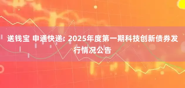 送钱宝 申通快递: 2025年度第一期科技创新债券发行情况公告