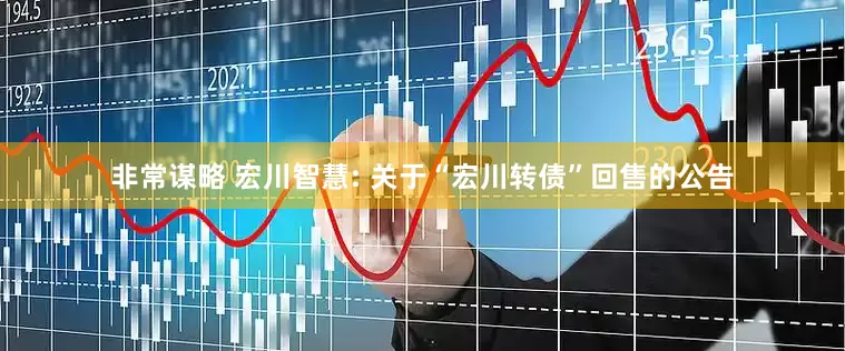 非常谋略 宏川智慧: 关于“宏川转债”回售的公告